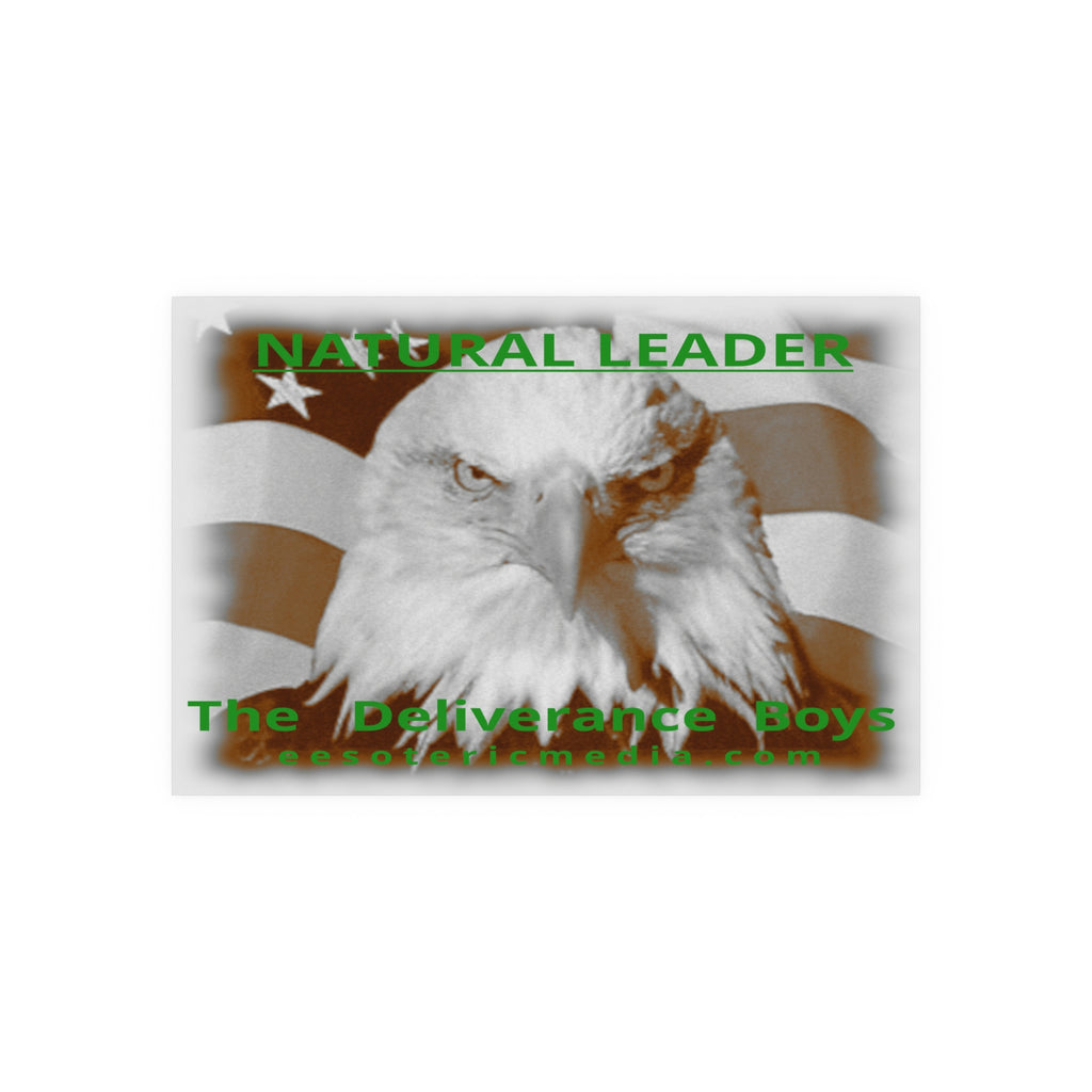 «Natural Leader» (The Deliverance Boys) Lámina artística con un águila calva, gran formato, 150 × 100 cm